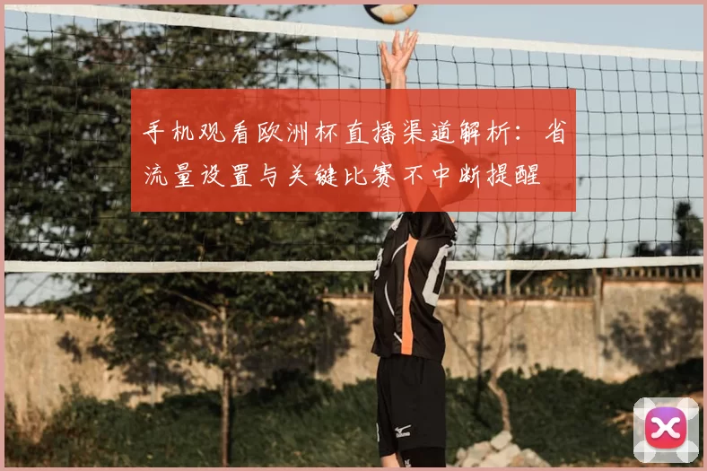 手机观看欧洲杯直播渠道解析：省流量设置与关键比赛不中断提醒