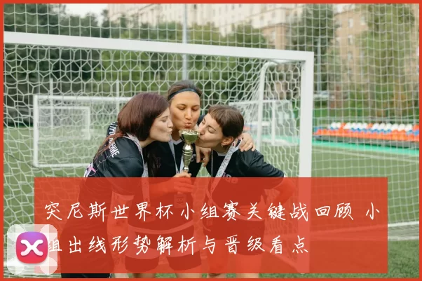 突尼斯世界杯小组赛关键战回顾 小组出线形势解析与晋级看点