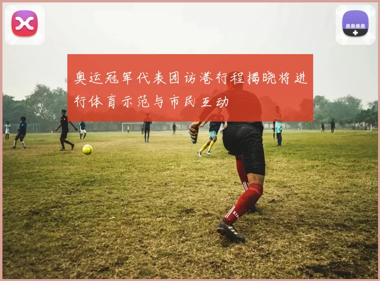 奥运冠军代表团访港行程揭晓将进行体育示范与市民互动